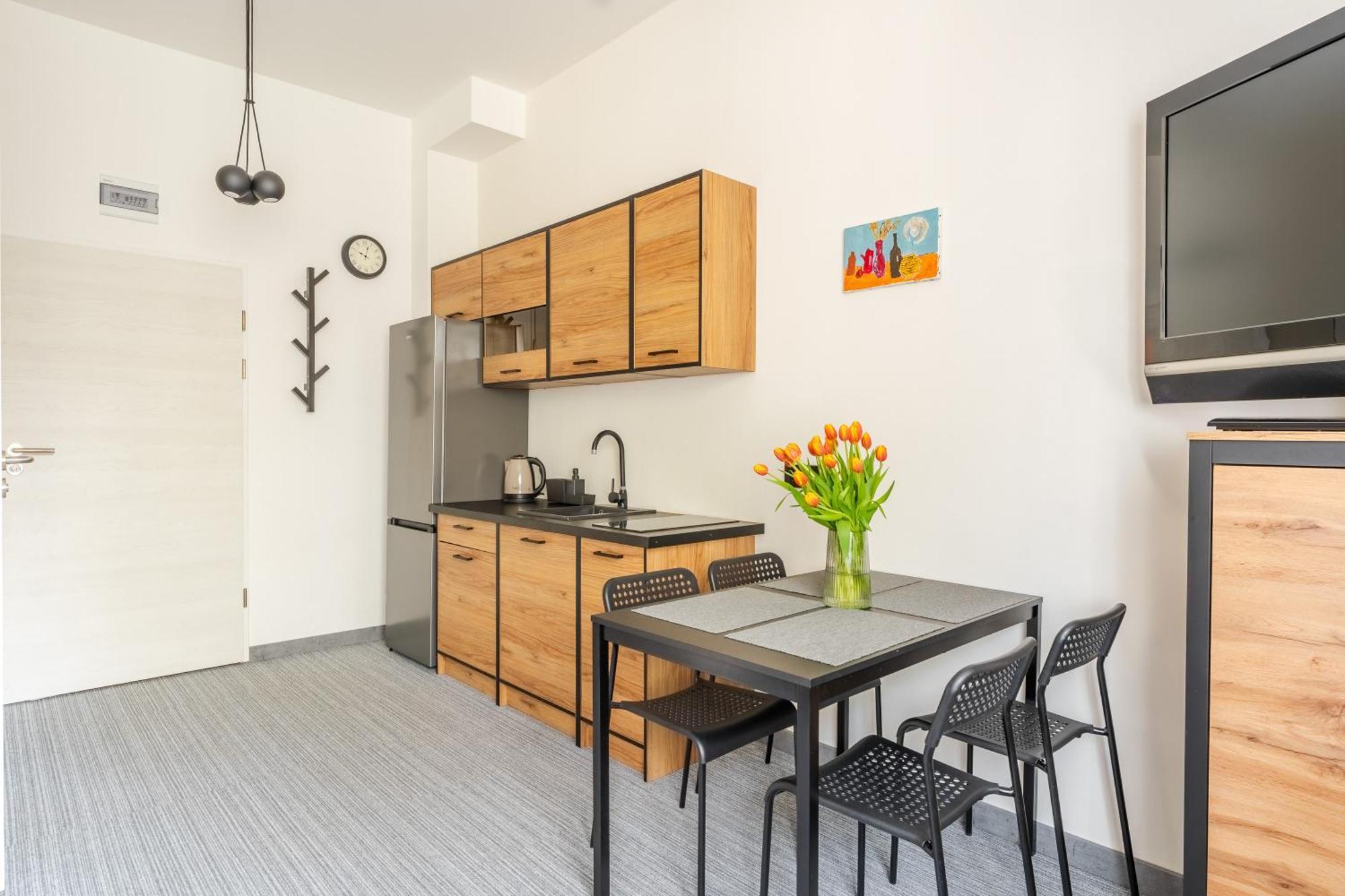 Apartment Loftowy Na Spokojnej